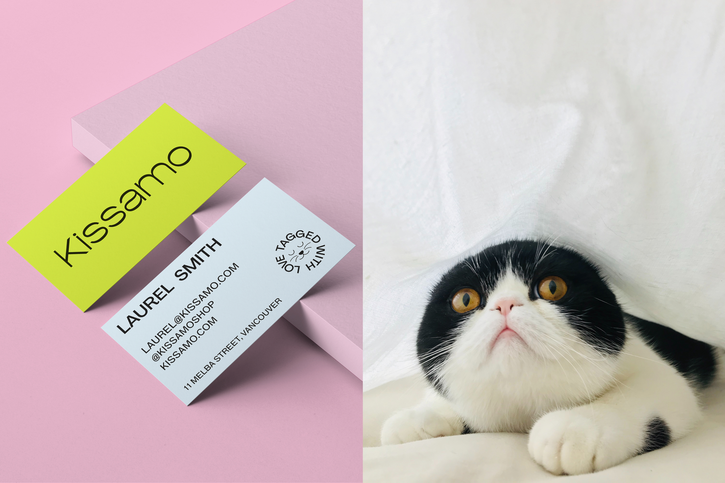 Kissamo Card Cat
