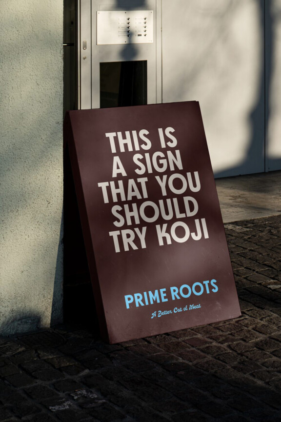 PRIME_ROOTS_sign
