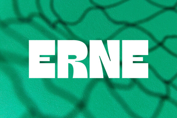 ERNE_Logo