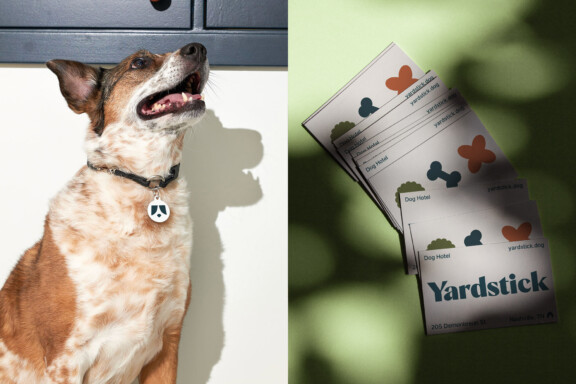 YARDSTICK_Cards_duo